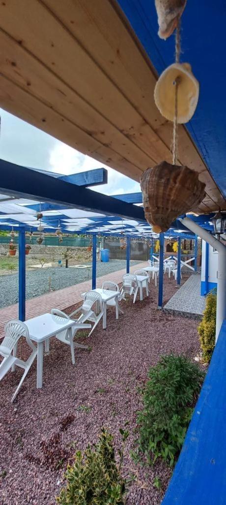 Pensiunea Blue House Otel Vadu Dış mekan fotoğraf